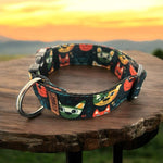 COLLAR 40 mm perritos