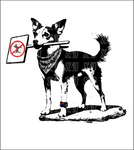 CAMISETA DOGNSKY  MANGA CORTA