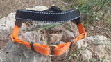 ARNES REDIRECCION:                        BICOLOR