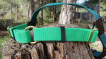 ARNES REDIRECCION:                               VERDE´S